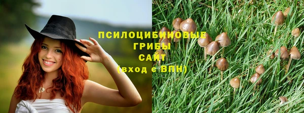 соль курить ск Алексин