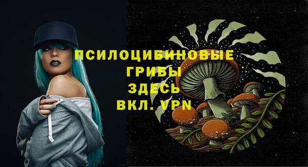 соль курить ск Алексин