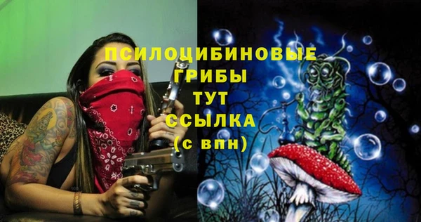 соль курить ск Алексин