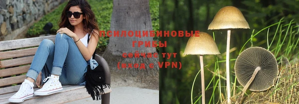 соль курить ск Алексин